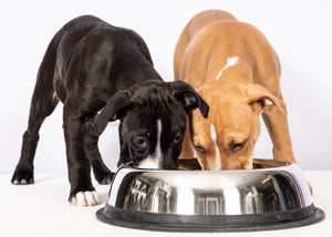 ALL Stainless Bowls & Buckets